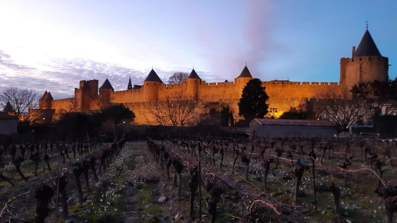 Domaine Fontgrande Gite Carcassonne Eksteriør billede