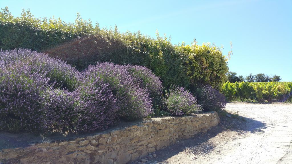 Domaine Fontgrande Gite Carcassonne Værelse billede