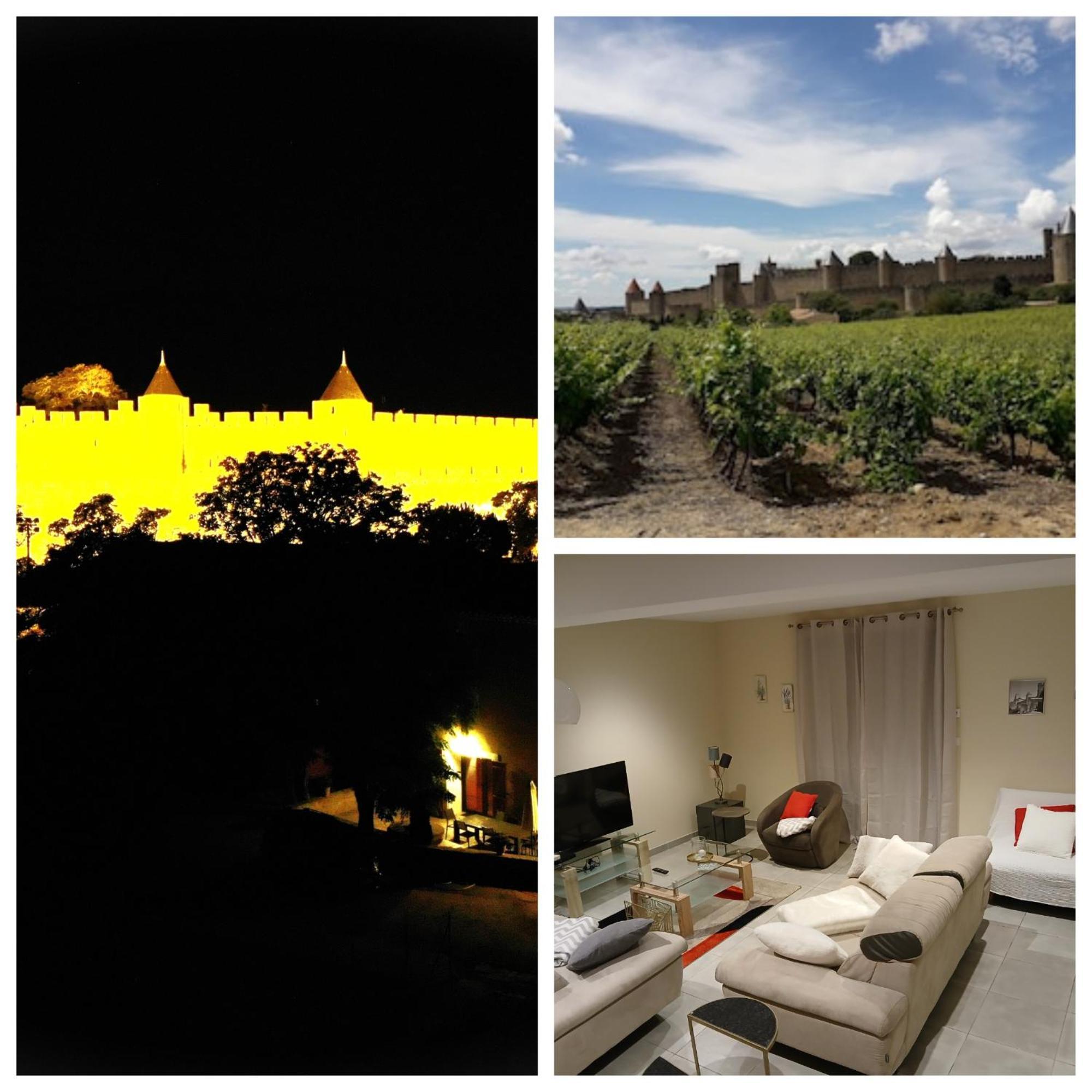 Domaine Fontgrande Gite Carcassonne Eksteriør billede