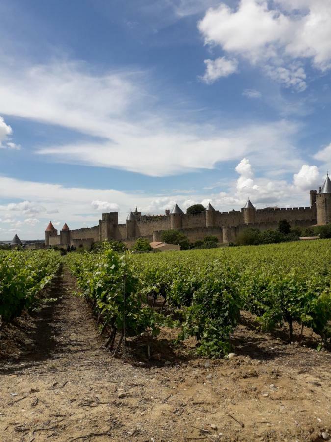 Domaine Fontgrande Gite Carcassonne Eksteriør billede